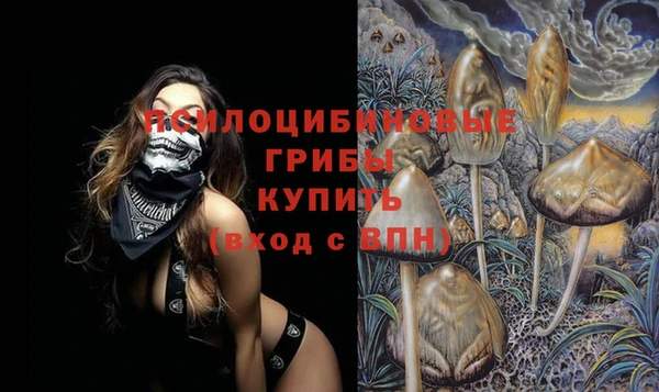 молекула духа Балабаново