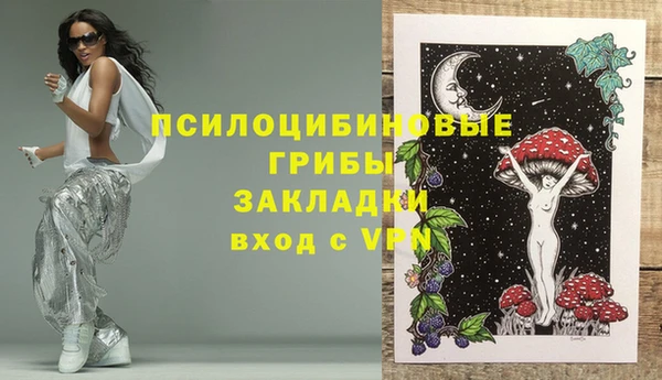 2c-b Саяногорск