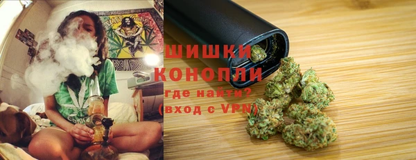 2c-b Саяногорск